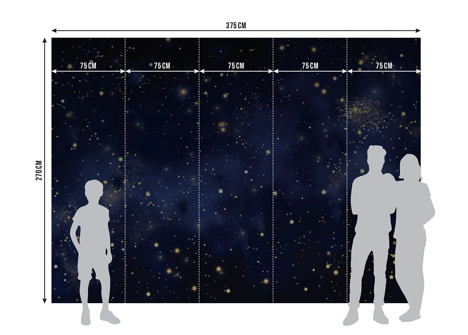 Wall Mural Night Sky, Made to Measure, FT5P 352151 4