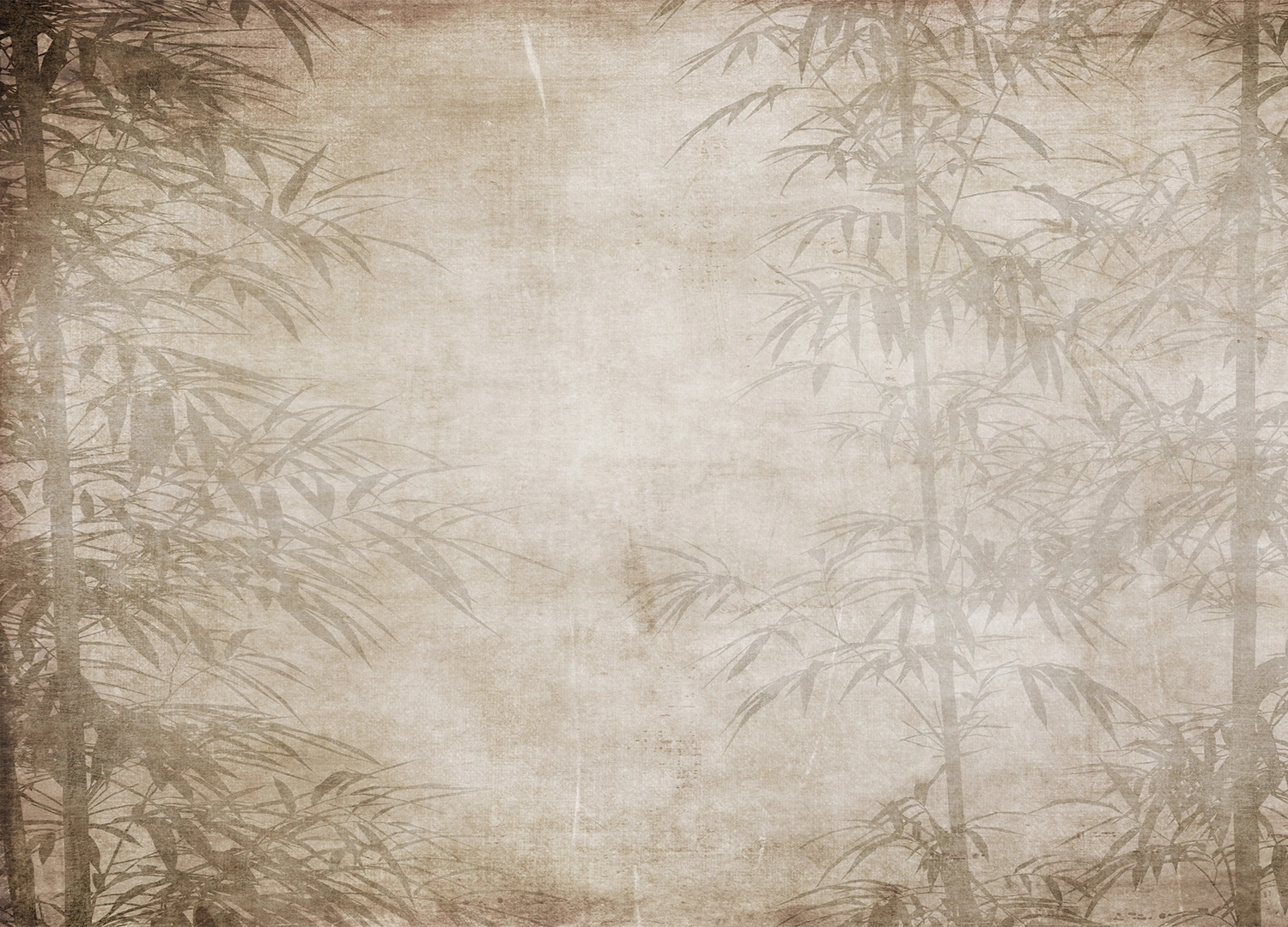 Custom Size Wall Mural Bamboo Forest | Premium Non-Woven Wallpaper | FT5P3069 1